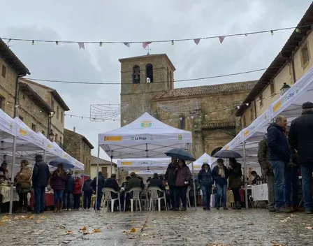 AluciSol | Carpas plegables – toldos en Pedrera (foto 6 de 10)