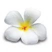 Logo de Proyectos Echarri